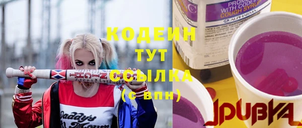 соль ск Каменка