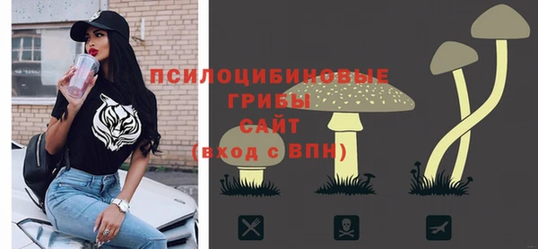 соль ск Каменка