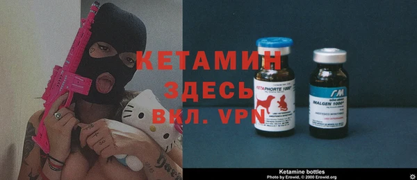 соль ск Каменка