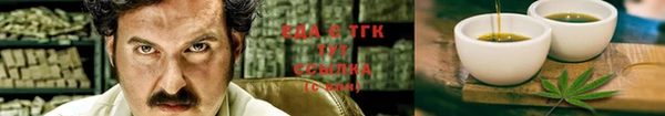 соль ск Каменка