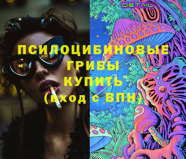 альфа пвп Каменногорск
