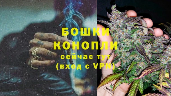 соль ск Каменка