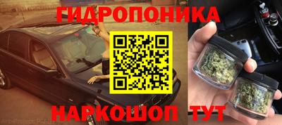 СК Кандалакша