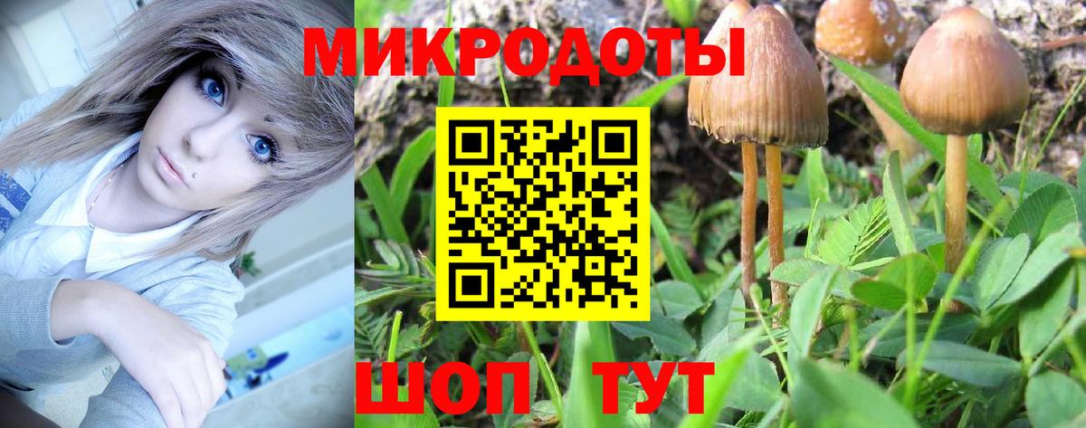 Псилоцибиновые грибы мухоморы  Вход с VPN  Кыштым 